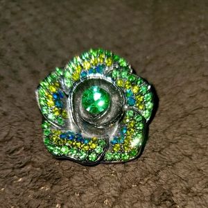 Beautiful Green and Blue Pin
